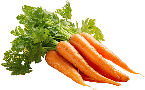 Carrots